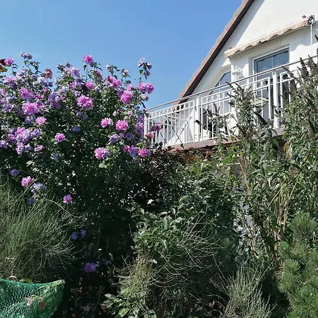 Pension Haus Anneliese Ückeritz Zewnętrze zdjęcie