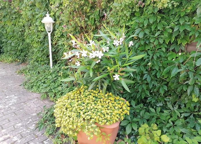 Pension Haus Anneliese