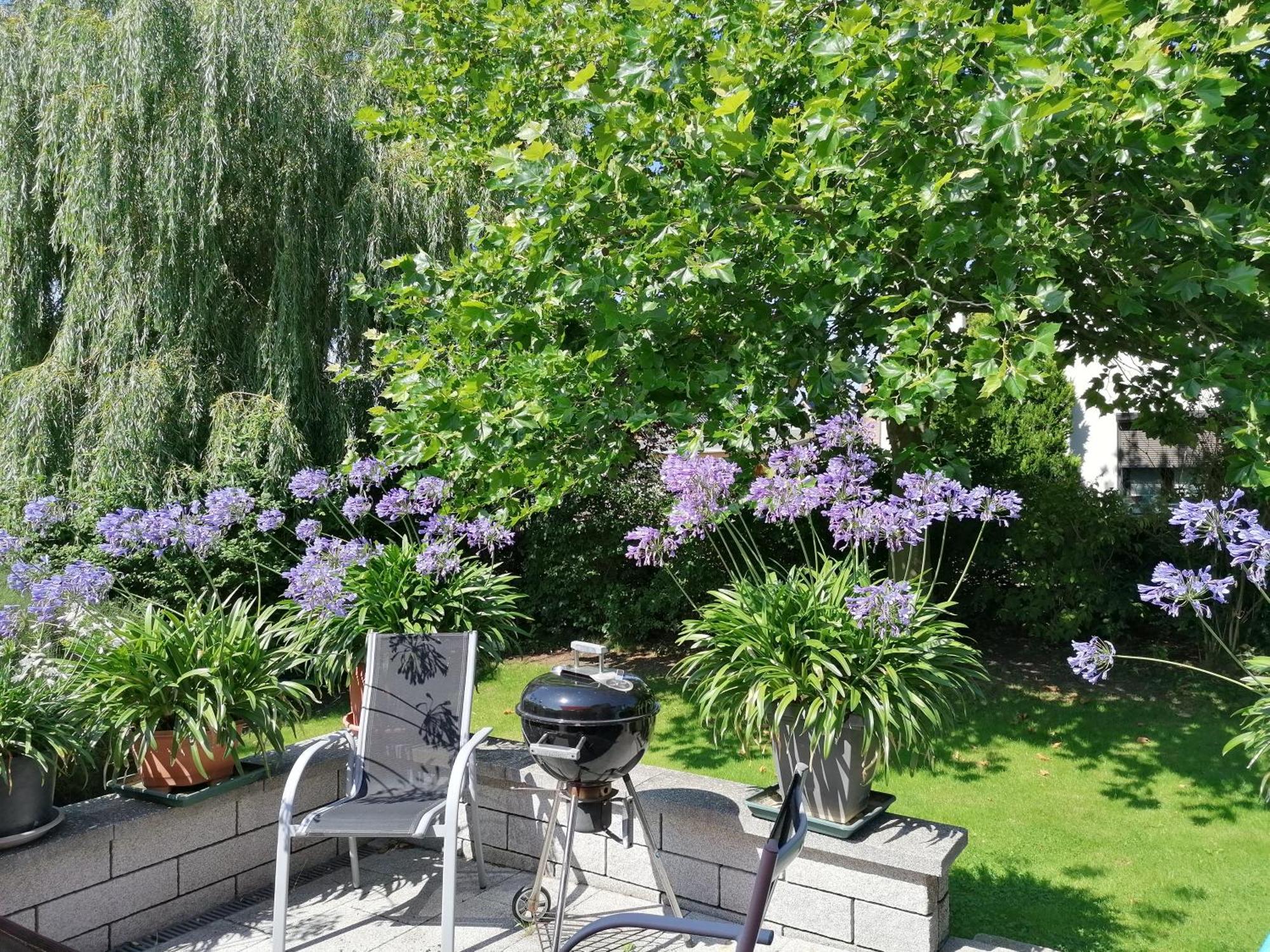 Haus Anneliese Appartement