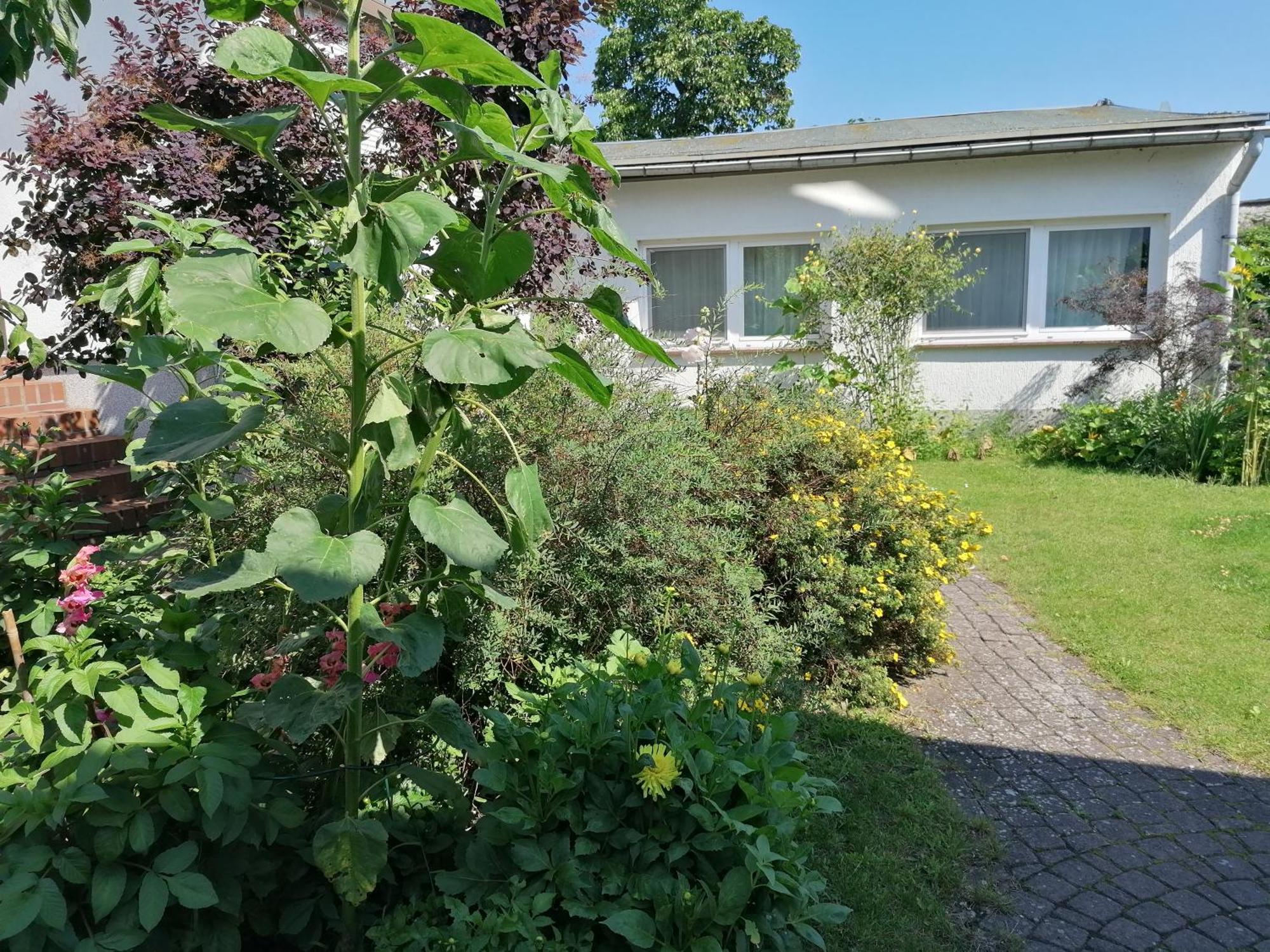 Haus Anneliese * Ückeritz