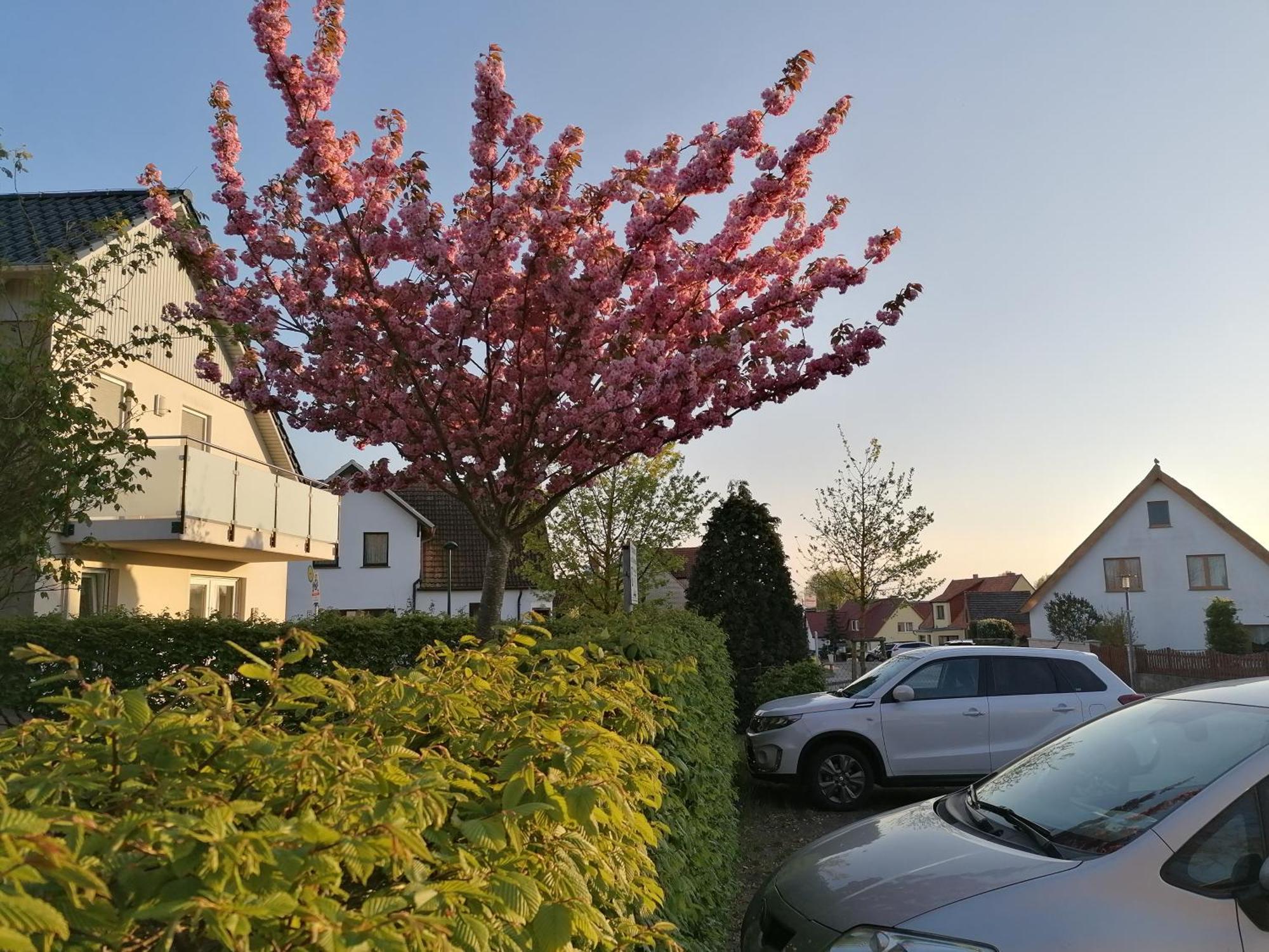 Haus Anneliese Appartement
