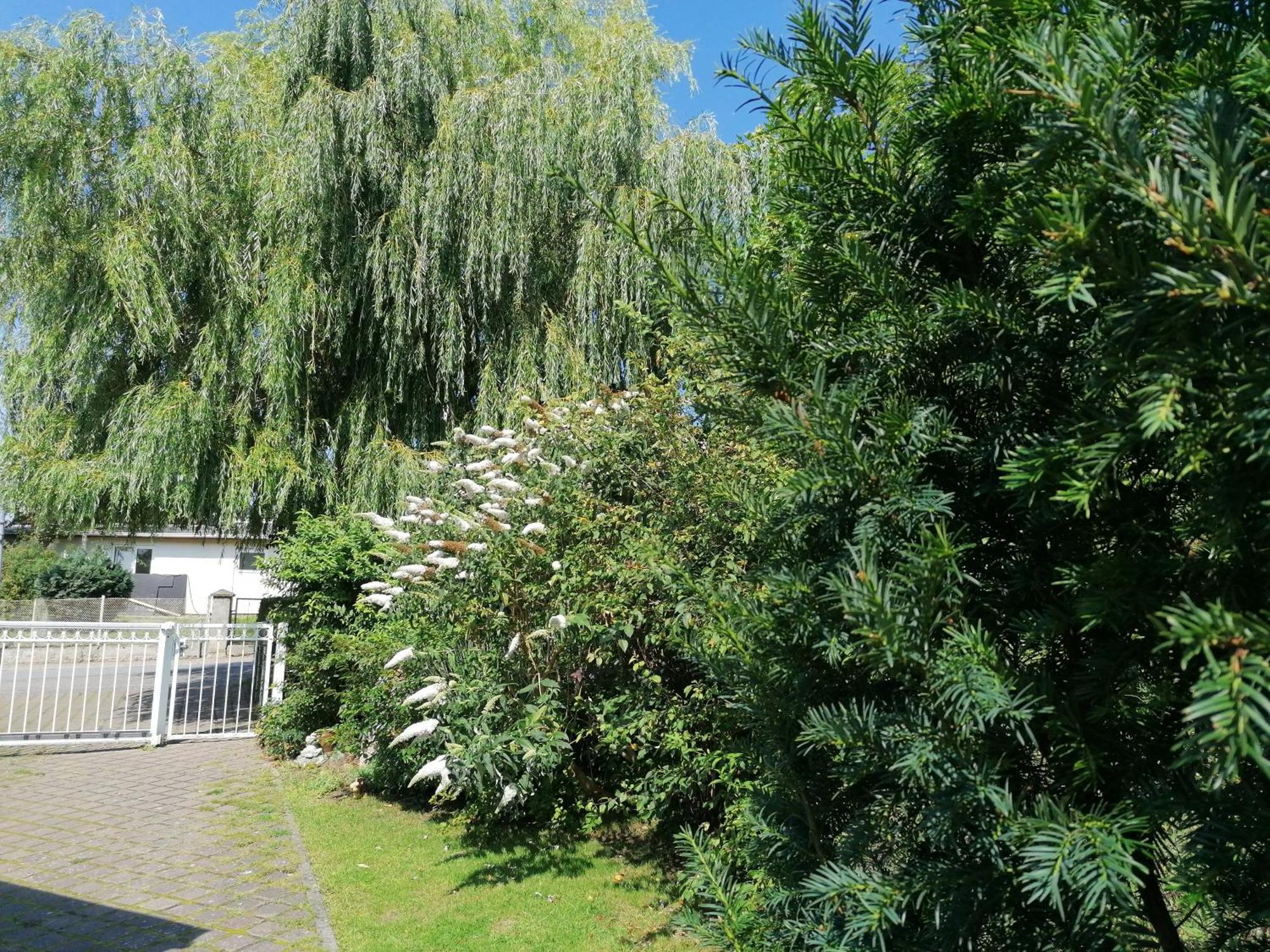 Haus Anneliese Apartment Ückeritz