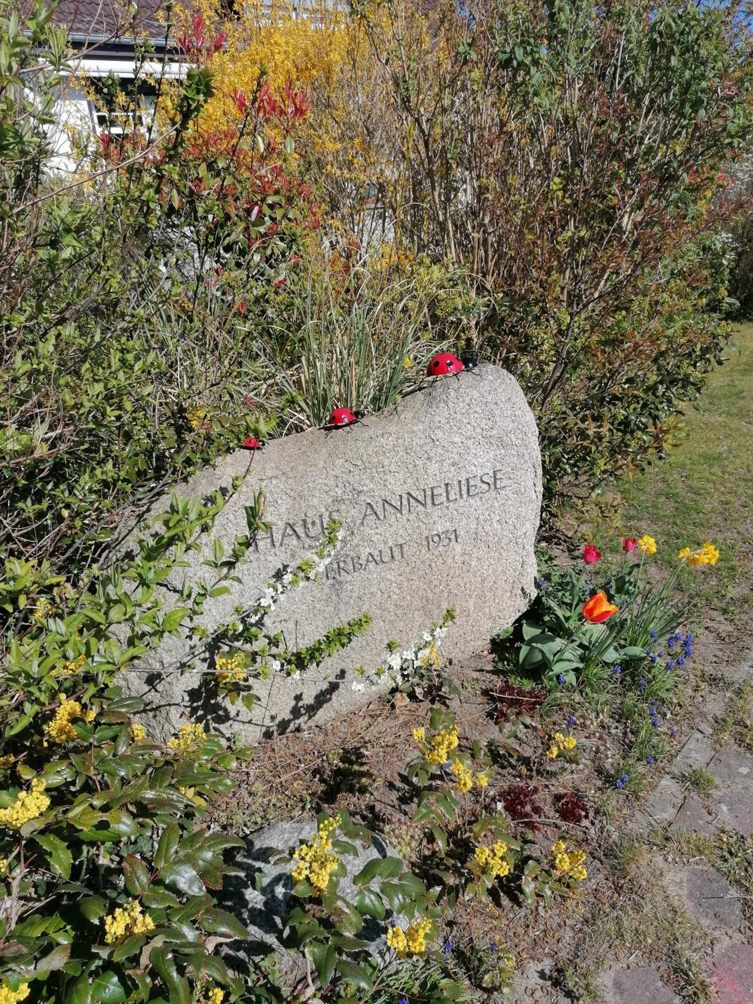 Haus Anneliese Appartement